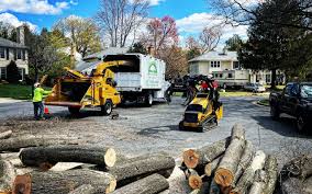 Best Lawn Pest Prevention  in Belmont Estates, VA