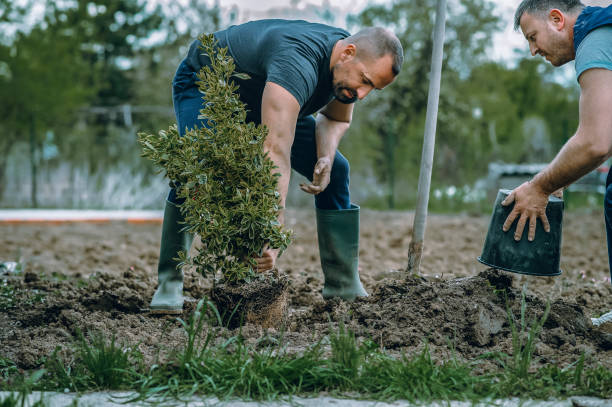Best Utility Line Clearance  in Belmont Estates, VA