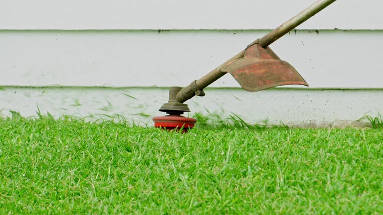 Reliable Belmont Estates, VA Tree Services Solutions