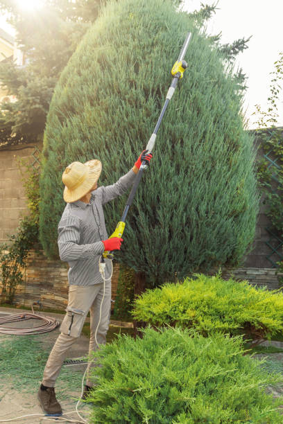 Best Artificial Turf Installation  in Belmont Estates, VA